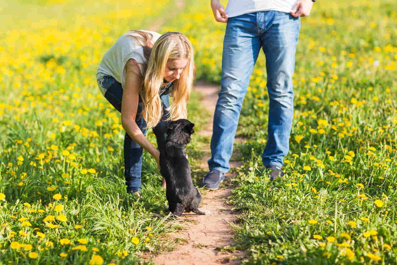 siyah köpeğini kucağına almaya hazırlanan sarışın kız