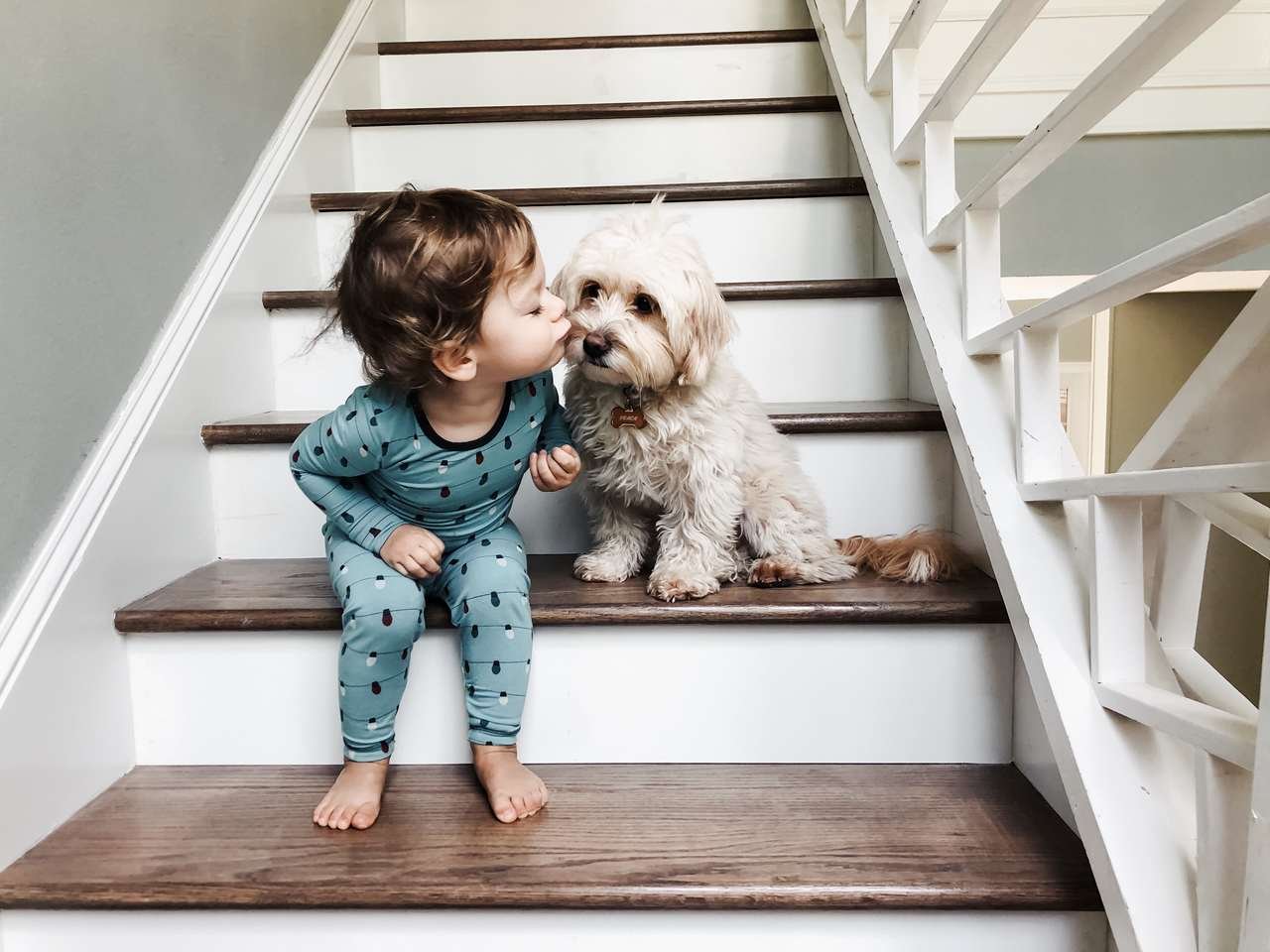 merdivenlerde oturan çocuk ve yavru köpek