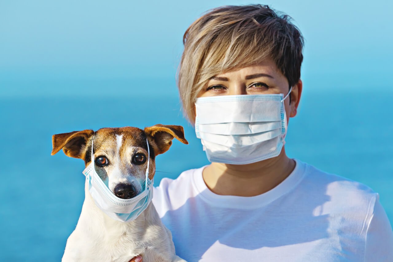 Cerrahi maske takan kısa saçlı kadın ile cerrahi maske takan köpeği