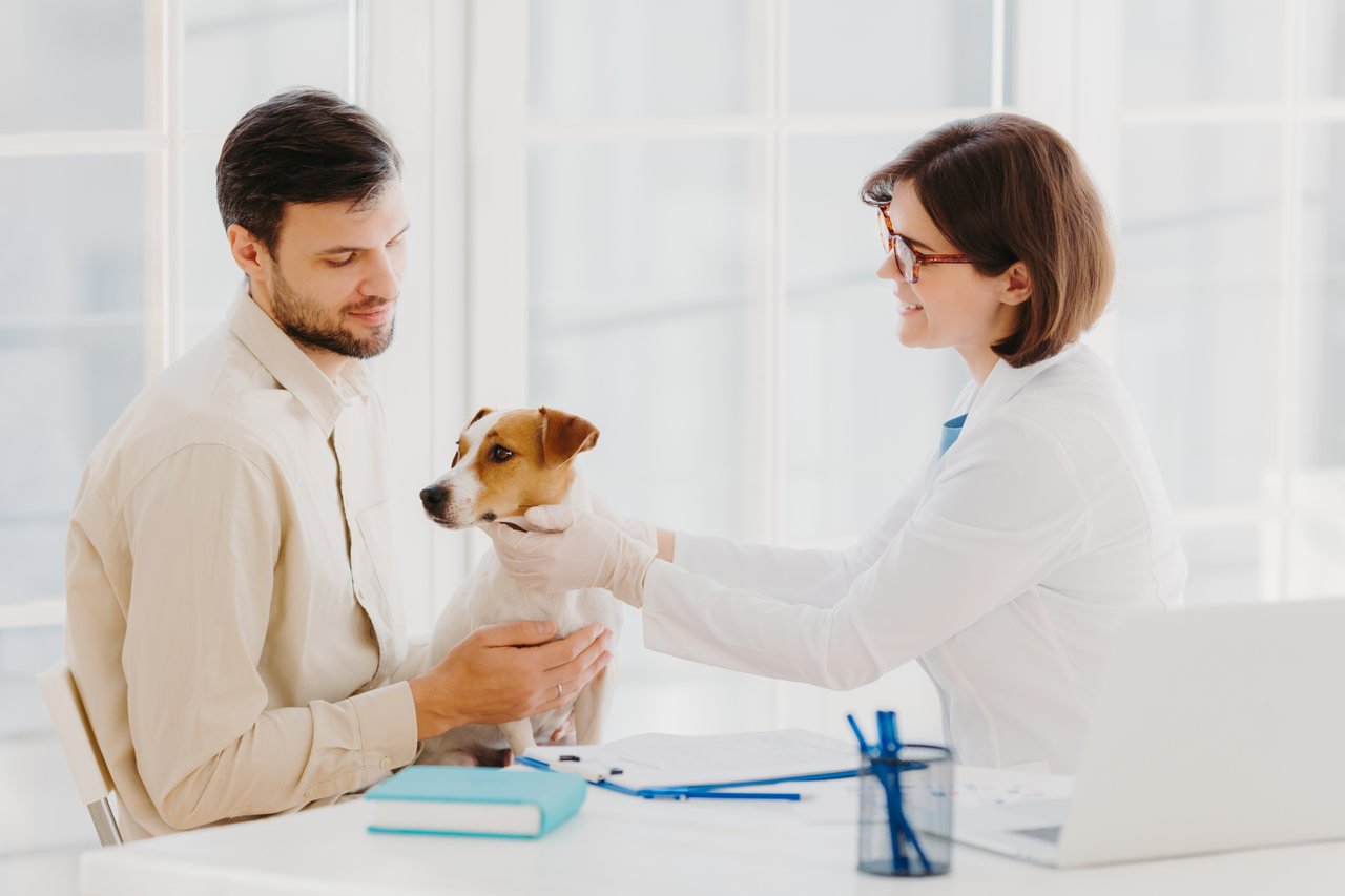 veteriner ve köpek