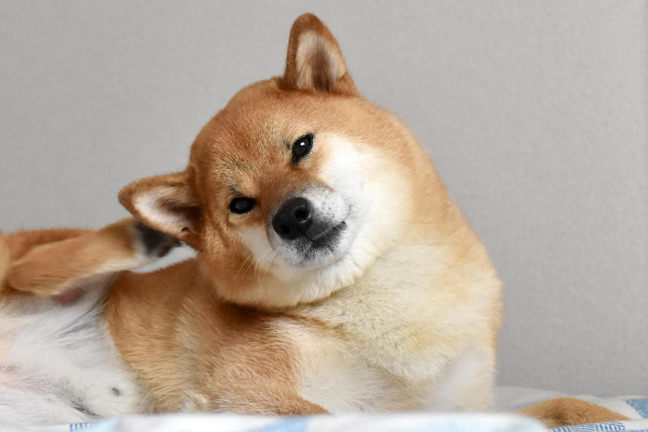 Blog-Small