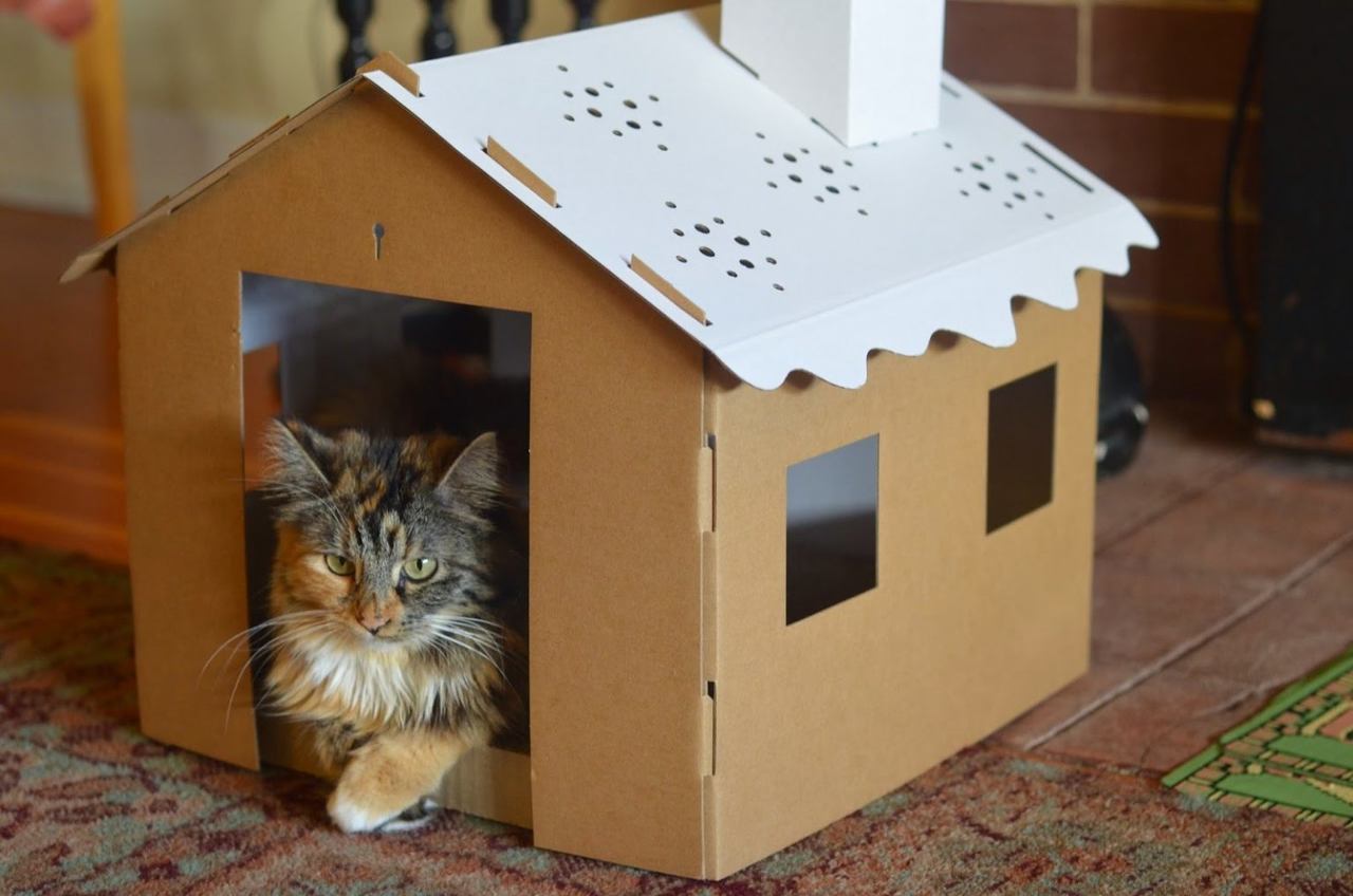 Minik Dostlarımız İçin 4 Farklı Malzemeyle Kedi Evi Yapımı
