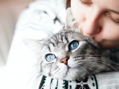 Kedi Tüyü İnsan Sağlığı İçin Zararlı Mı?