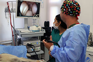 Ultrasonoterapi