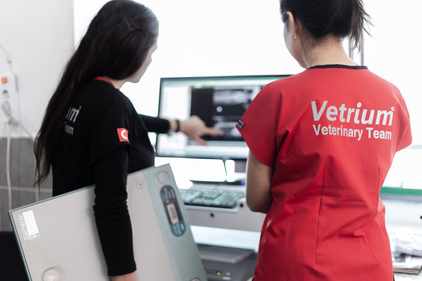 ankara çayyolu veteriner laboratuvar ve görüntüleme